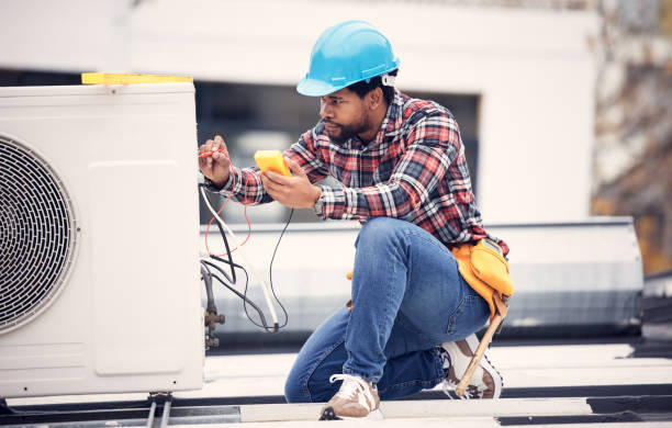 Best Local Electrician Companies  in Dolgeville, NY