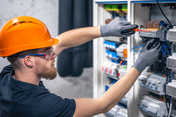 Best Electrician for Home Renovation  in Dolgeville, NY