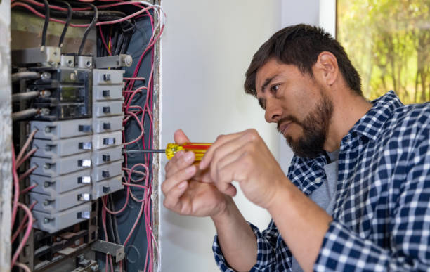 Best Electrical System Inspection  in Dolgeville, NY
